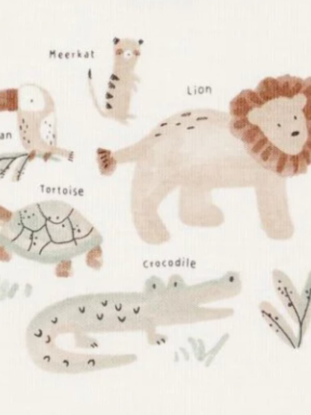 NWT Carter’s Baby Boy Lion 3-Piece Cardigan Set Green White 12 Months Outfit - Picture 3 of 5